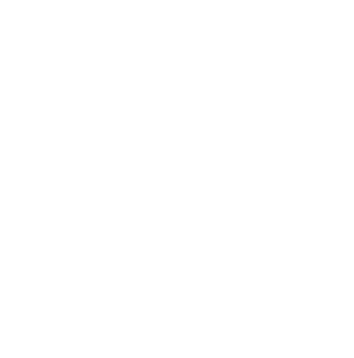 Octopus Workshop