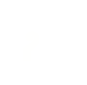 Logo Octopus Workshop
