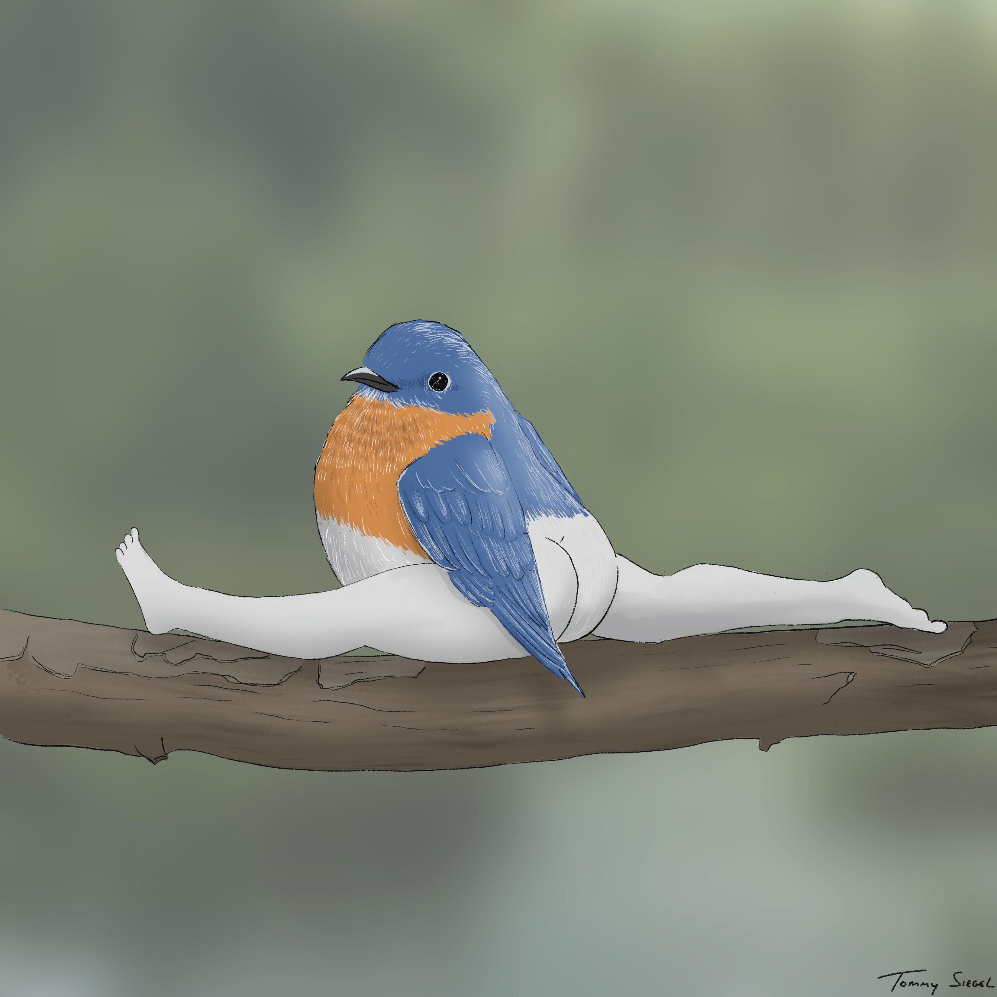 Enfin un oiseau réaliste !