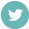 Logo Twitter
